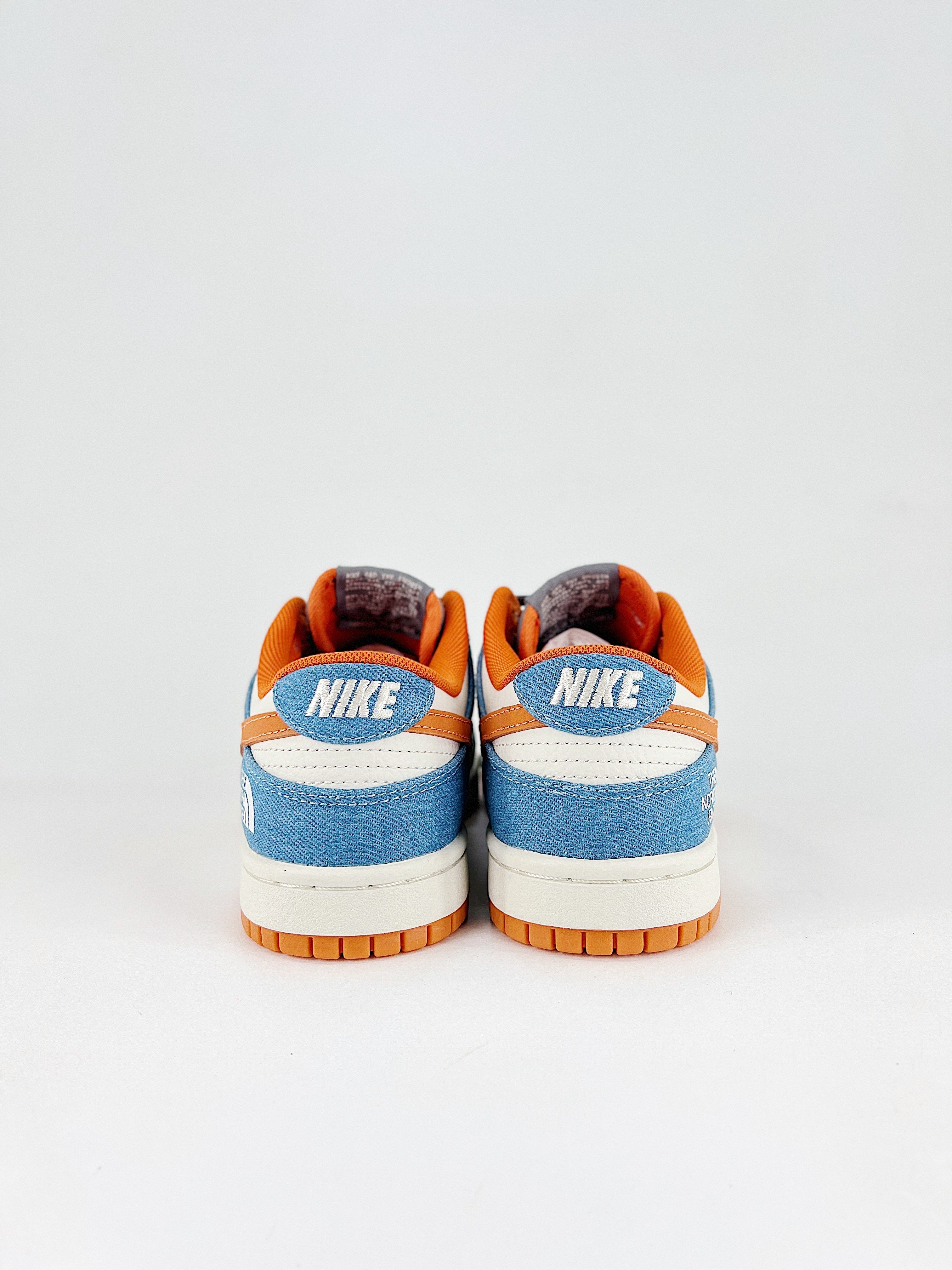 Dunk SB Low The North Face