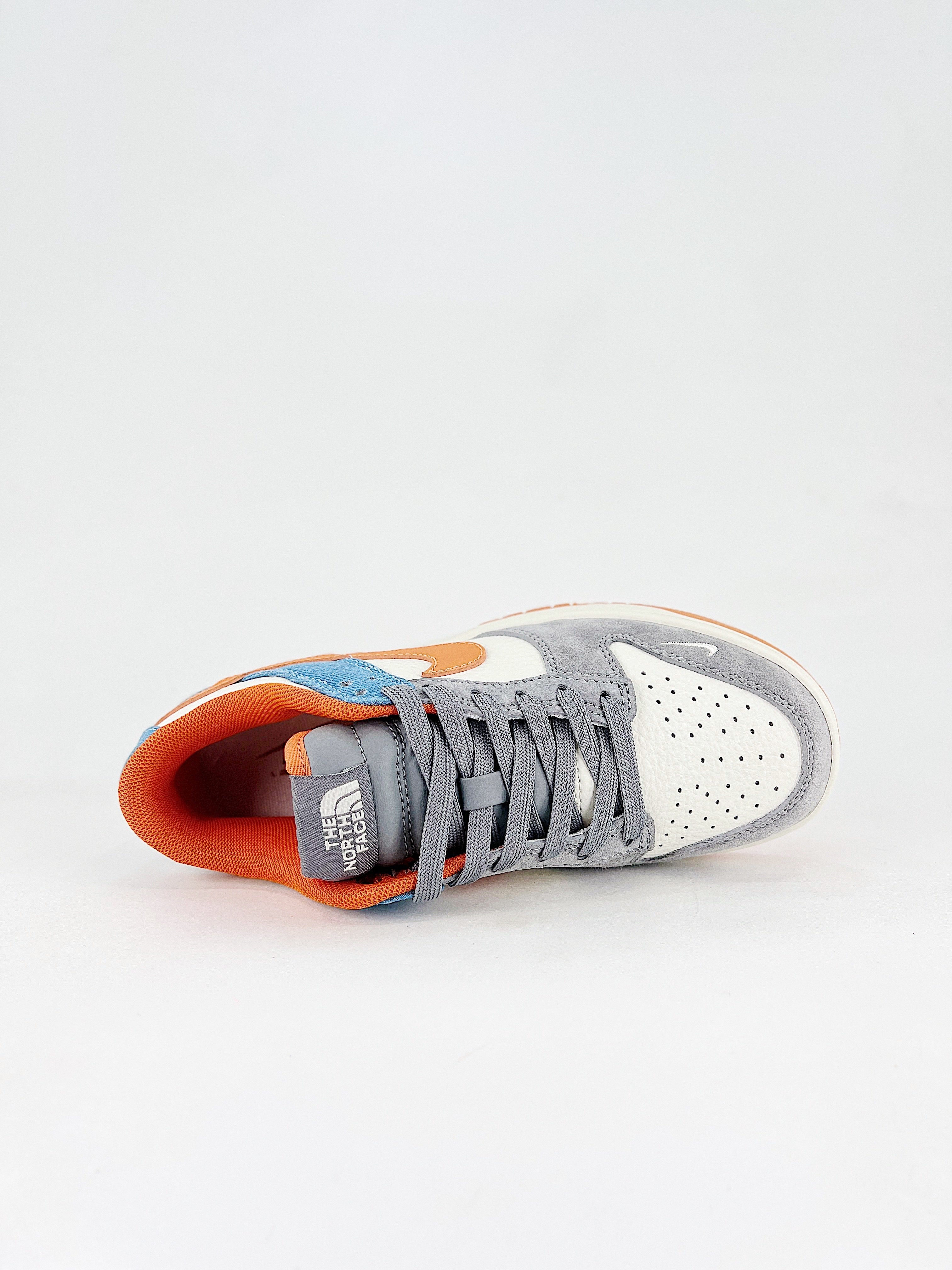 Dunk SB Low The North Face